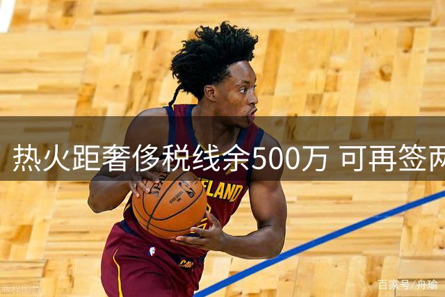 热火距奢侈税线余500万 可再签两名底薪球员