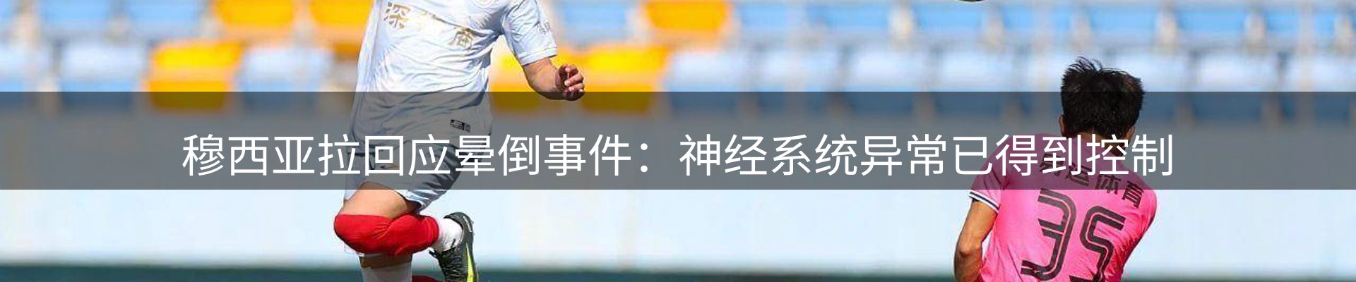 新闻资讯