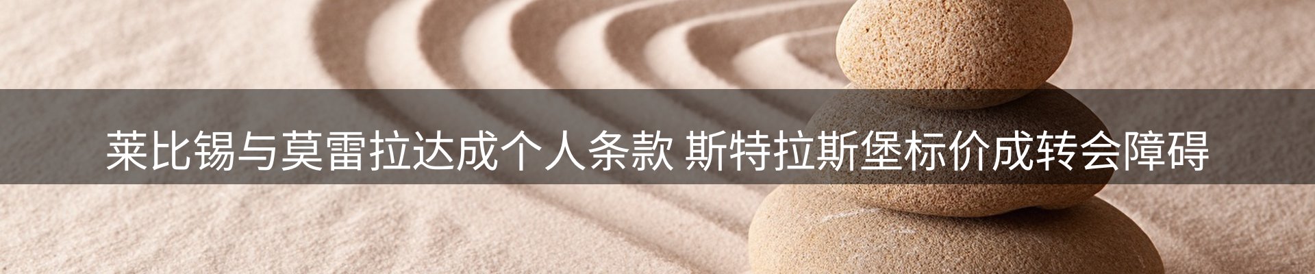 新闻资讯